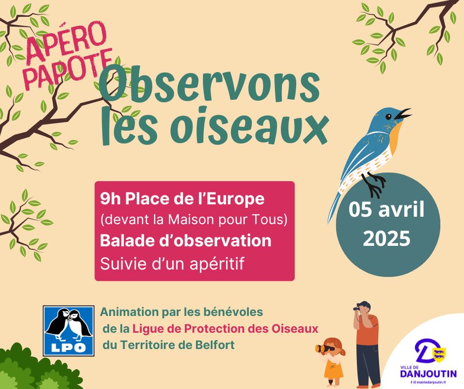 Apéro papote Observons les oiseaux